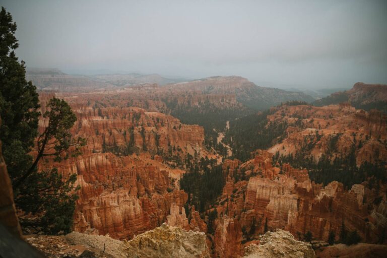 A Rainy, Romantic Sunrise: Photographing a Utah Surprise Proposal in Bryce Canyon