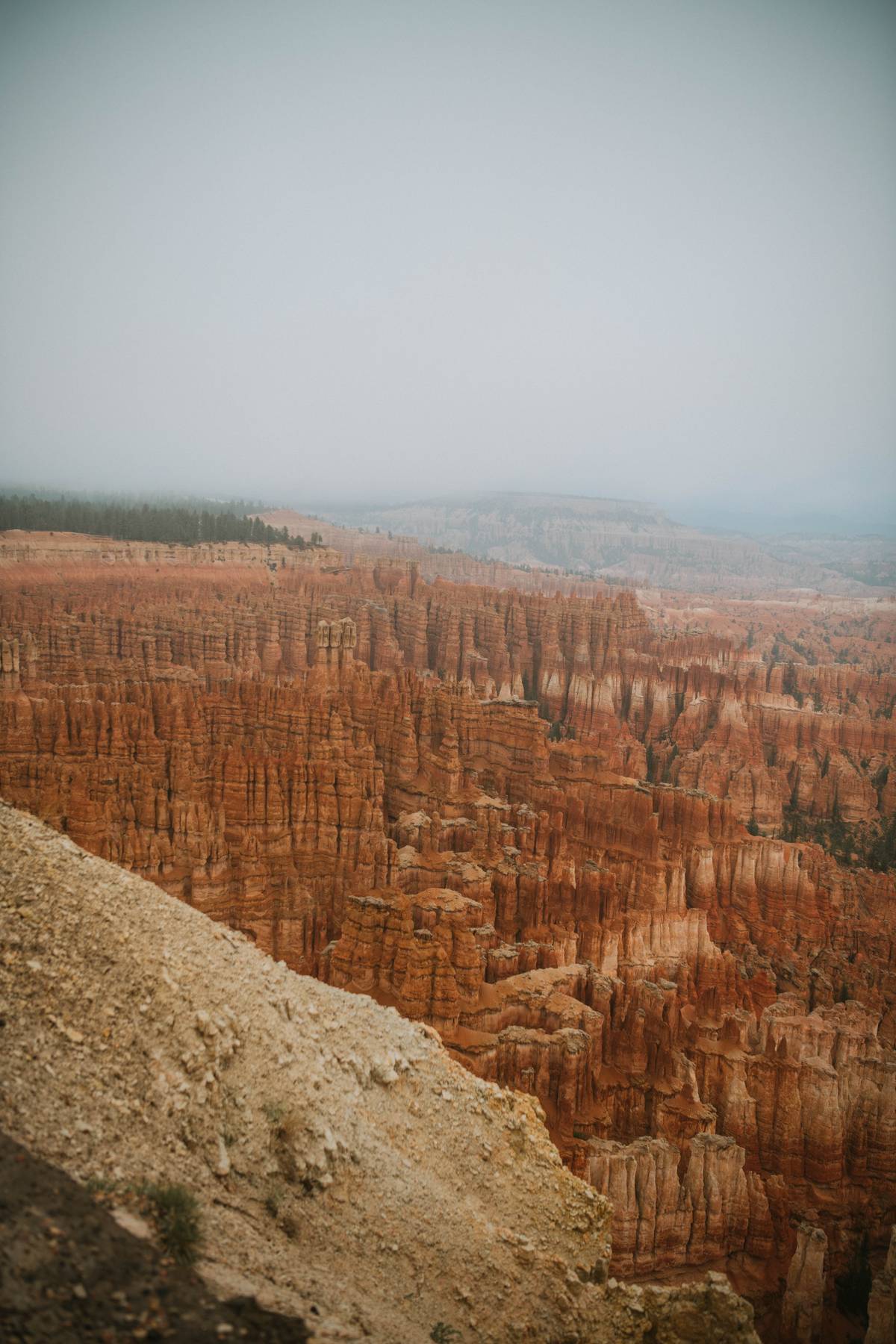 plan your sunset engagement session in the perfect spot - park city, antelope island state park, or big cottonwood canyon